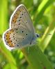35958 – Photo : Isael – France (24)