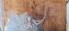 350114 – Photo : Pascale SAVARY – France (44)