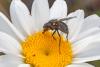 350046 – Photo : Pierre Duhem – France (73)
