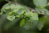 350268 – Photo : Pierre Duhem – France (95)