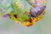 350255 – Photo : Thomas Reverchon – France (21)
