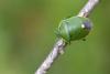 350291 – Photo : Thomas Reverchont – France (21)