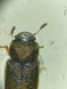 350359 – Photo : Tristan Maury-Caudal – France (37)