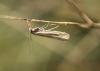 350420 – Photo : Philippe Fourtier – France (06)