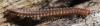 350826 – Photo : Christian Berquer – France (05)