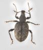 350106 – Photo : Patrick Grillas – France (30)
