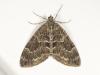 350161 – Photo : Cédric Mondy – France (94)