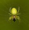 350030 – Photo : Damien GRILLIERE – France (15)