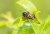350150 – Photo : Thomas Reverchon – France (21)