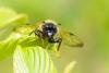 350151 – Photo : Thomas Reverchon – France (21)