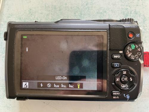 OM TG-6 sp.