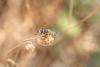 351798 – Photo : Arnaud Badiane – Turquie