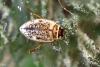 351859 – Photo : Mathurin CARNET – France (89)