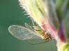351718 – Photo : Catherine Reymonet-Smitten – France (19)