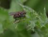 352416 – Photo : Richard Goldstein – Belgique
