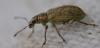 352684 – Photo : Christian Berquer – France (05)