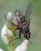352971 – Photo : ANDRE LABETAA – Espagne
