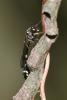 352863 – Photo : D. Martinez – Philippines