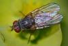 352890 – Photo : ANDRE LABETAA – France (66)