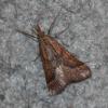 352981 – Photo : Mathurin CARNET – France (58)