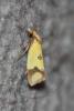 352913 – Photo : Mathurin CARNET – France (58)