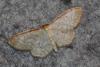 352982 – Photo : Mathurin CARNET – France (58)