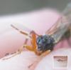 352799 – Photo : Axel Dehalleux – France (91)