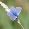 352600 – Photo : Dominique – France (80)