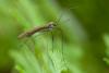 352522 – Photo : Jessica Joachim – France (11)