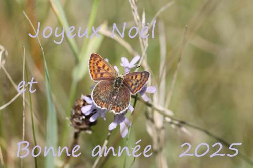 Indéterminé