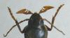 353533 – Photo : Raffaele Bocchini – Italie