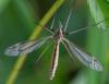 353009 – Photo : ANDRE LABETAA – France (31)