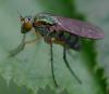 353788 – Photo : ANDRE LABETAA – France (09)