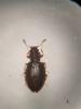 353096 – Photo : Tristan Maury-Caudal – France (37)