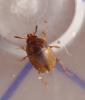 353460 – Photo : michèle hirigoyen – France (40)