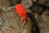 353256 – Photo : Christophe Quintin – France (22)