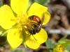 353868 – Photo : Victor Redon – France (68)