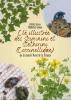 353825 – Photo : ACOF – France (00)
