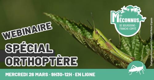 Indéterminé