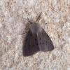 354013 – Photo : Mathurin CARNET – France (58)