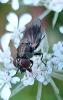 354316 – Photo : Manu70 – France (70)