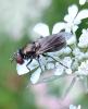 354371 – Photo : Manu70 – France (70)