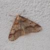354014 – Photo : Mathurin CARNET – France (58)