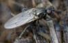 354924 – Photo : ANDRE LABETAA – France (11)