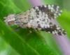 355805 – Photo : MOLINIER Cédric – France (07)