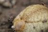 355138 – Photo : Merlin HUMBERT – France (93)