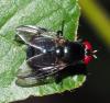 355159 – Photo : Bernard Perthuis – Guyane française