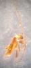 355277 – Photo : Keyvan Dumas – France (73)