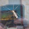 356757 – Photo : Mathurin CARNET – France (58)