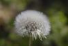 356861 – Photo : Pierre Duhem – France (75)